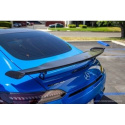 Mercedes-Benz AMG GTR Pro 2020+ Vingextension Kolfiber APR Performance