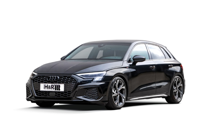 H&R COILOVER AUDI A3 GY 1001kg- 2019- i gruppen Välj bilmodell hos DDESIGN Scandinavia AB (HR-28638-4)