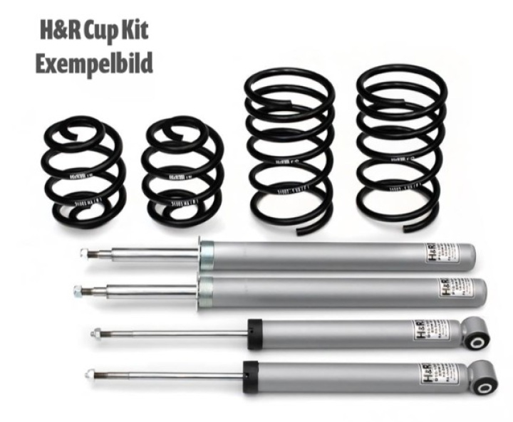 H&R Cupkit Mercedes E Class W124, E300-24 Cabrio i gruppen Välj bilmodell hos DDESIGN Scandinavia AB (HR-31037-3)
