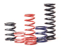 H&R HRF 60mm RACINGFJÄDER