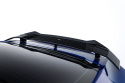 Hyundai Elantra N Mk7 2020-2023 Vingextension Maxton Design