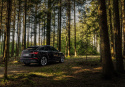35208100DP Coilovers V3 Leveling KW Suspension