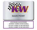 39025012 Coilovers DDC Plug & Play KW Suspension