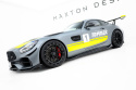 Mercedes-AMG GT C C190 Facelift 2017-2023 Sidoextensions Maxton Design