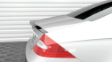 Mercedes-Benz CLS-Klass C219 2004-2010 Vingextension V.1 Maxton Design
