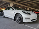 Tesla Model 3 17+ Svart Stänkskydd Vit Logo Rally Armor