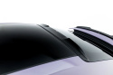 Porsche Panamera 4 / 4S E-Hybrid / 4 E-Hybrid 972 2024+ Vingextension / Takvinge V.1 Maxton Design