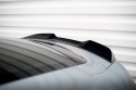 Porsche Taycan Mk1 2019+ Vinge / Vingextension 3D Maxton Design