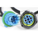 Y-Kabel - Checkbox - QCB-Y4-0016 QSP Products