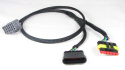 Y-Kabel - Checkbox - QCB-Y6-0023 QSP Products