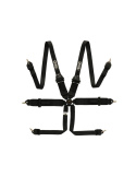 6-Punktsbälte 3\'\' QSP \'\'Hans\'\'