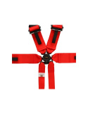 6-Punktsbälte 3\'\' QSP \'\'Hans\'\'