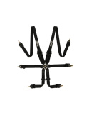 6-Punktsbälte 3\'\' QSP \'\'Endurance / Hans\'\'