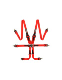 6-Punktsbälte 3\'\' QSP \'\'Endurance / Hans\'\'