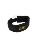 QSP Arm Restraint - SFI