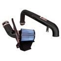 Ford Focus ST 2.0L 4 cyl. 15-18 Svart Short Ram Luftfilterkit / Sportluftfilter Injen
