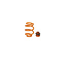 Tesla Model 3 2017+ / Model Y 2020+ Road & Track (Street Tuned) Coiloverkit Öhlins