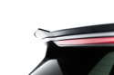 Volkswagen Tiguan R-Line Mk3 2024- Vingextension Maxton Design