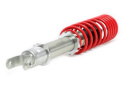 Ford / Mazda Fiesta IV / Ka / Puma / 121 III 1995 - 10.1998 Coilovers Deep TA Technix