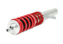 Ford / Mazda Fiesta IV / Ka / Puma / 121 III 1995 - 10.1998 Coilovers Deep TA Technix