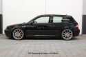 Audi A3 / Seat Leon / Seat Toledo II / Skoda Octavia / VW Bora / VW Golf IV / VW Beetle 1996-2010 Coilovers Deep TA Technix