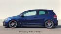 Audi / Seat / Skoda / VW A3 / Leon / Octavia / Superb / Beetle / Golf / Jetta / Passat / Scirocco / Touran 2003+ Coilovers Deep TA Technix
