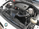 BMW 116i/118i/120i (F2x) 2011-2015 N13 Momentum GT Kalluftsintag Luftfilterkit Pro DRY S aFe Power