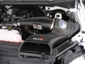 Ford F-150 2015-2023 V6-2.7L (tt)/V6-3.5L (tt) Momentum GT Pro 5R Insugskit aFe Power