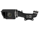 Jeep Wrangler (JK) 2012-2018 V6-3.6L Momentum GT Pro GUARD 7 Kalluftsintag Luftfilterkit aFe Power