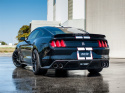 Ford Mustang Shelby GT350 5.2L V8 2015-2020 Catback Sportavgassystem ATAK Borla