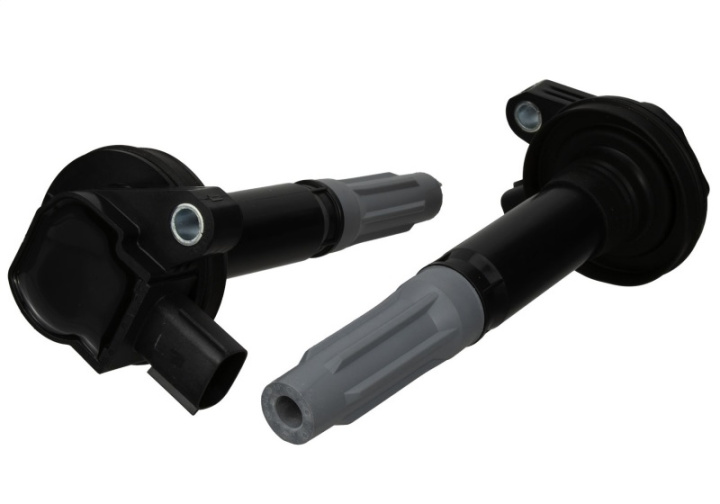 Ignition Coils 5.0L 4V Ford Racing i gruppen Välj bilmodell / Ford hos DDESIGN Scandinavia AB (frpM-12029-M50C)