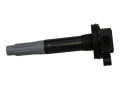 Ignition Coils 5.0L 4V Ford Racing