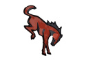 2021-25 Bronco Bakre Emblem Overlay - Brons Ford Racing