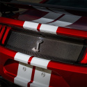 2020-22 Gt500 Kolfiber Bakluckepanel Ford Racing
