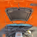 2020-2022 Gt500 Kolfiber Motorhuvsventilation Ford Racing