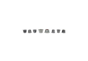 2015-23 Topplagringar Uppgradering Mustang Ford Racing
