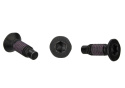 2021-25 Bronco Tube Door - Service Kit #4 (Passagerare) Ford Racing