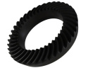 M220 4.88 Ring- & Drivningsväxel Ford Racing