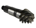 M220 4.88 Ring- & Drivningsväxel Ford Racing