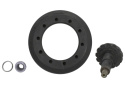 Ring & Pinjong 8.8 3.31 Ford Racing