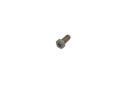 Ring Gear Bultar (100-pack) Ford Racing