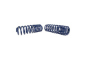 Sänkfjädrar (1,25) Mustang SVT 2007-14 Ford Racing