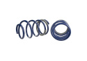 Sänkningssats 1\'\' Mustang GT 2005-14 Ford Racing