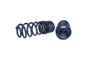 Sänkningssats 1\'\' Mustang GT 2005-14 Ford Racing