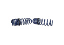 Sänkningssats 1\'\' Mustang GT 2005-14 Ford Racing