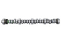 Hyd Roller Kamaxel Ford Racing