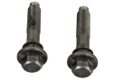 Kamaxelskruv Kit 4.6L 3V Ford Racing