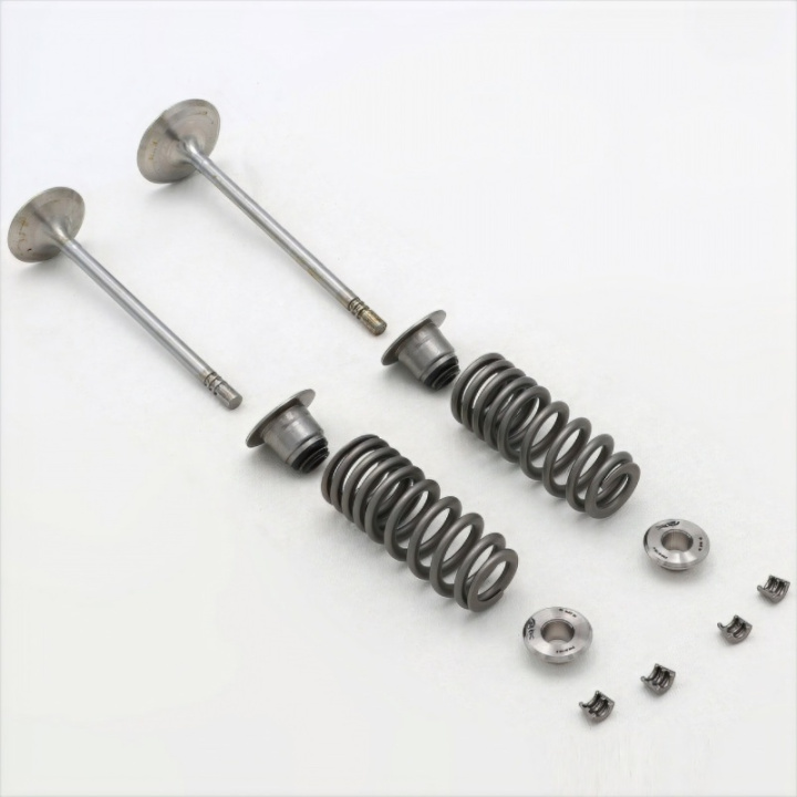 5.2L Fp350S Ventilmekanism Kit Ford Racing i gruppen Välj bilmodell / Ford hos DDESIGN Scandinavia AB (frpM-6505-FP350S)