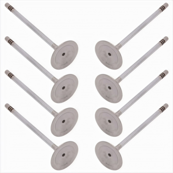 Insugsventil Lättvikt 5.2L Coyote (8-pack) Ford Racing i gruppen Välj bilmodell / Ford hos DDESIGN Scandinavia AB (frpM-6507-M52)