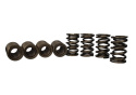 Set Om 8 Tvs-1734 Ventilfjädrar Ford Racing